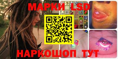 прущие грибы Будённовск
