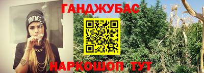прущие грибы Будённовск