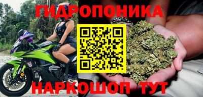 прущие грибы Будённовск