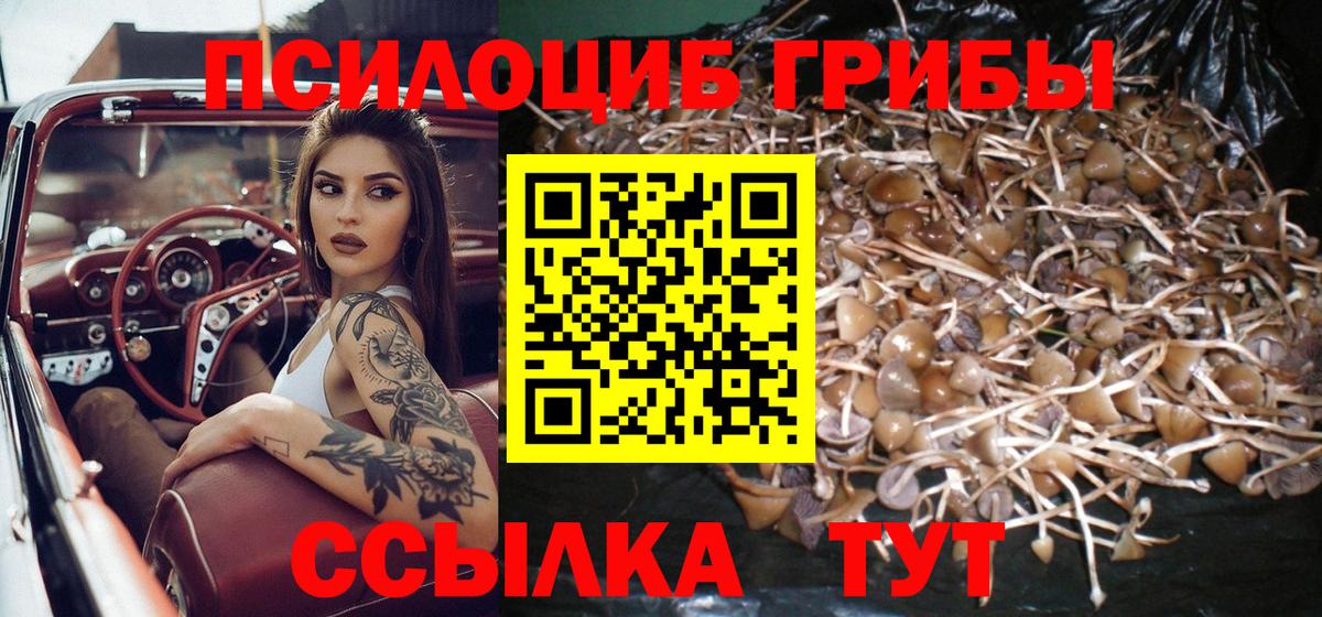 Валуйки  Псилоцибиновые грибы мухоморы  хочу   Галлюциногенные грибы мицелий  Вход с VPN 