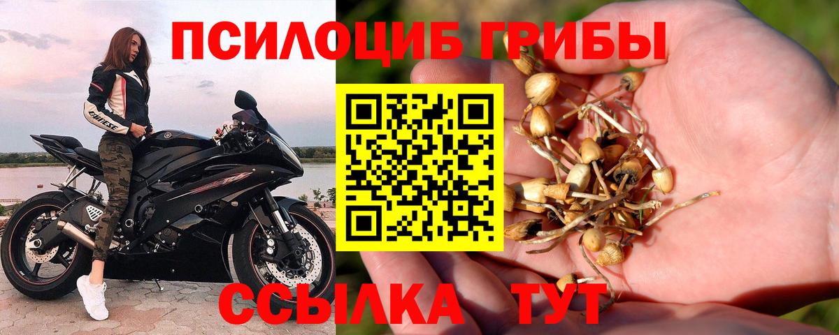 Псилоцибиновые грибы ЛСД Валуйки
